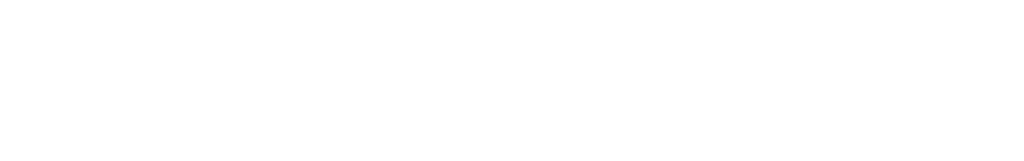 Logo Iron Security