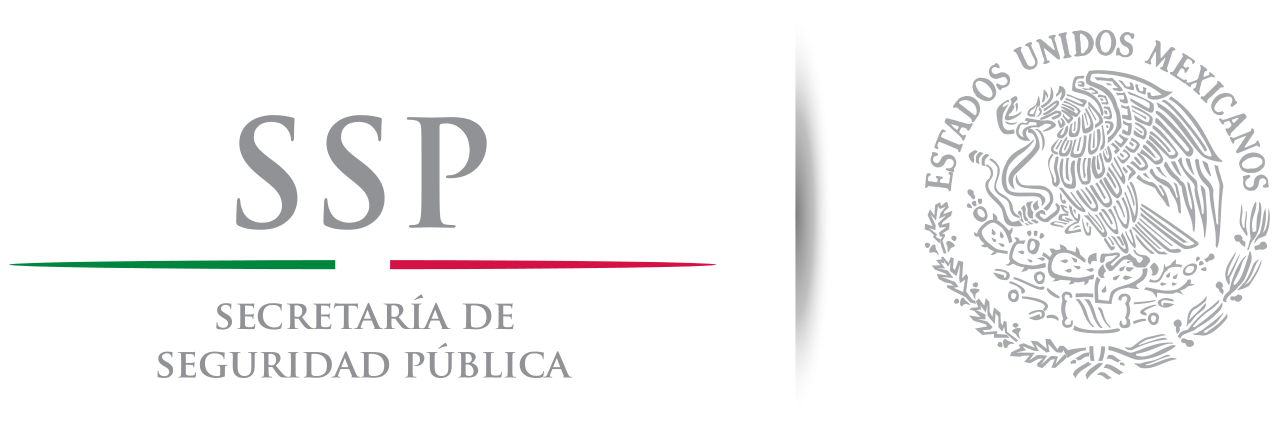 ssp logo